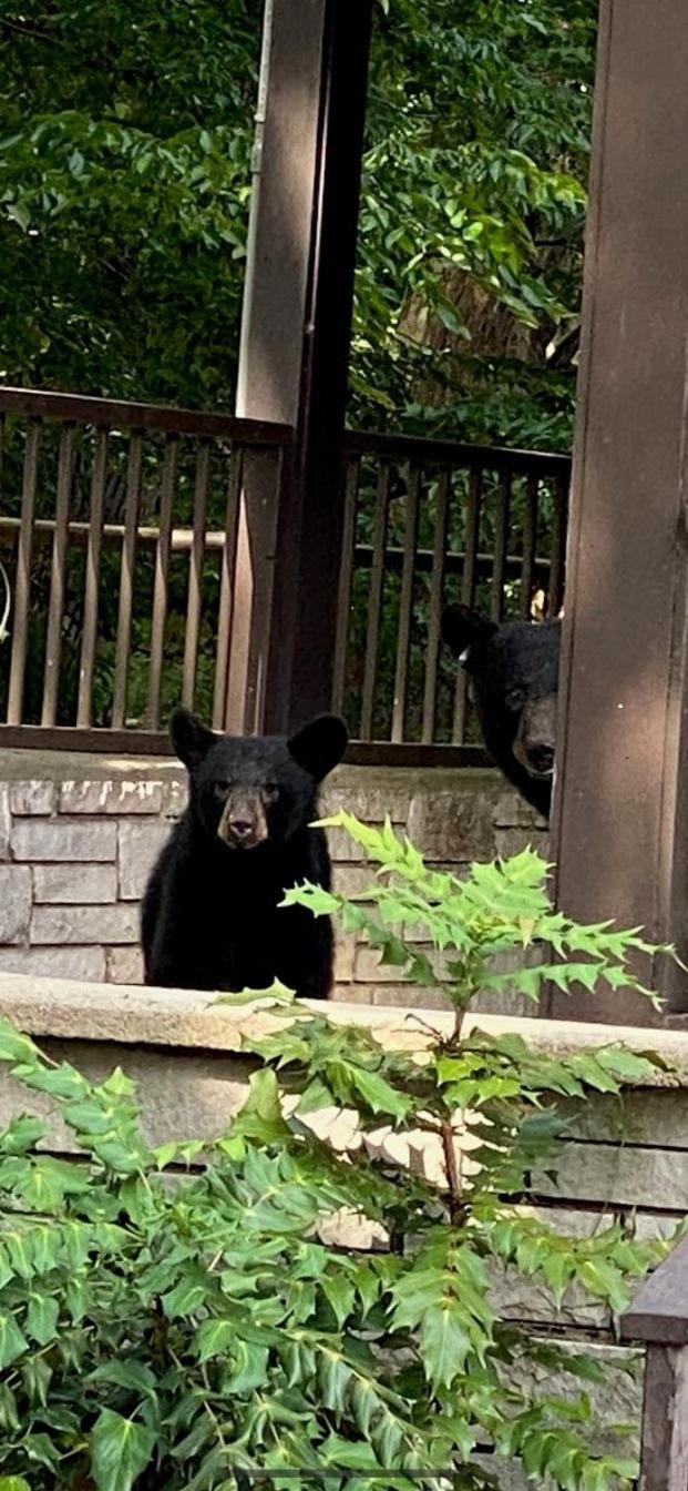 Brookside Lodge Gatlinburg Eksteriør billede